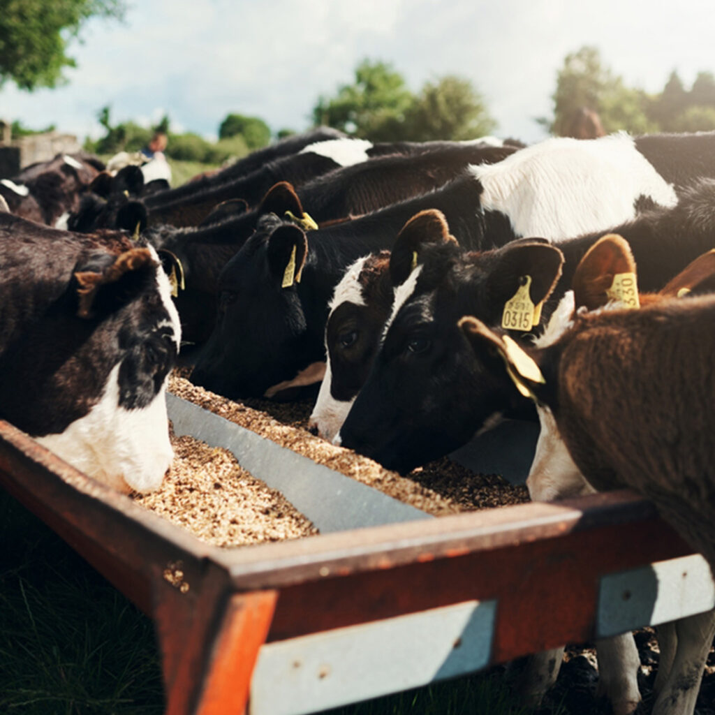 maquinaria agrícola en Ecuador